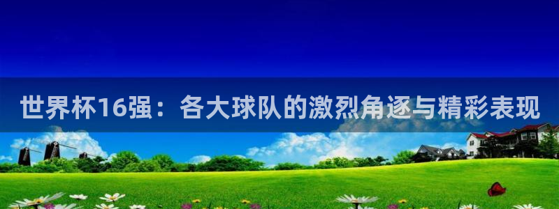 世界杯决赛预测：世界杯16强：各大球队的激烈角逐与精彩表现