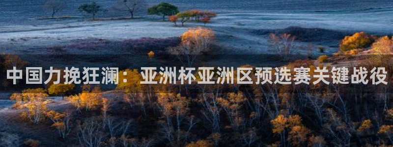 世界杯直播：中国力挽狂澜：亚洲杯亚洲区预选赛关键战役