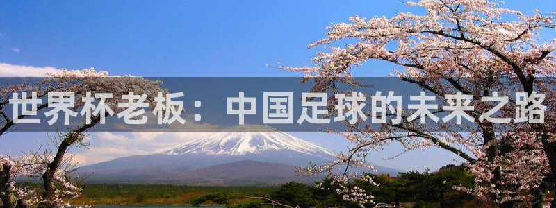 亚洲杯比赛直播：世界杯老板：中国足球的未来之路