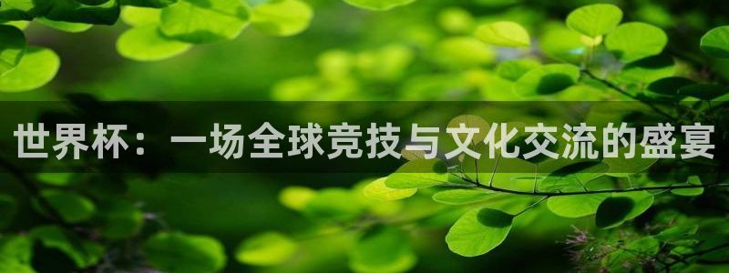 世界杯2026赛程：世界杯：一场全球竞技与文化交流的盛宴