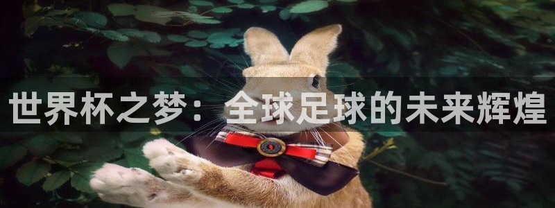 世界杯欧洲区赛程：世界杯之梦：全球足球的未来辉煌