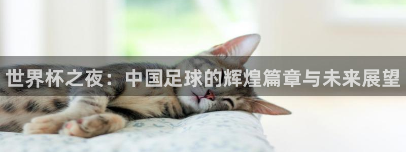 世界杯预选赛赛程表：世界杯之夜：中国足球的辉煌篇章与未来展望