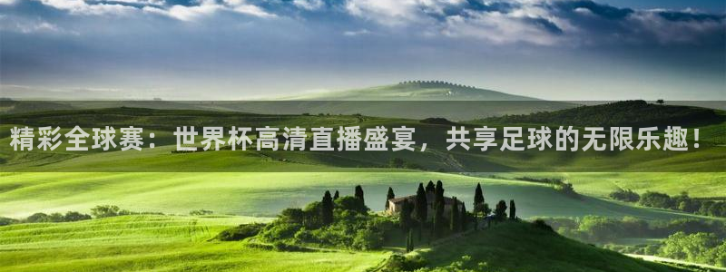 2026世界杯官网：精彩全球赛：世界杯高清直播盛宴，共享足球的无限乐趣！