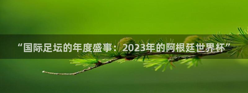 世界杯欧洲区世预赛赛程：“国际足坛的年度盛事：2023年的阿根廷世界杯”
