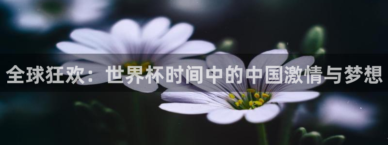 世界杯欧洲区预选赛：全球狂欢：世界杯时间中的中国激情与梦想