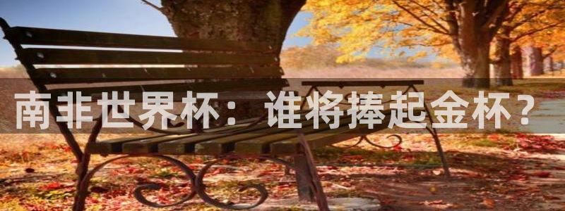 亚洲杯足球：南非世界杯：谁将捧起金杯？