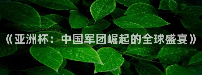 2026年世界杯对阵图：《亚洲杯：中国军团崛起的全球盛宴》