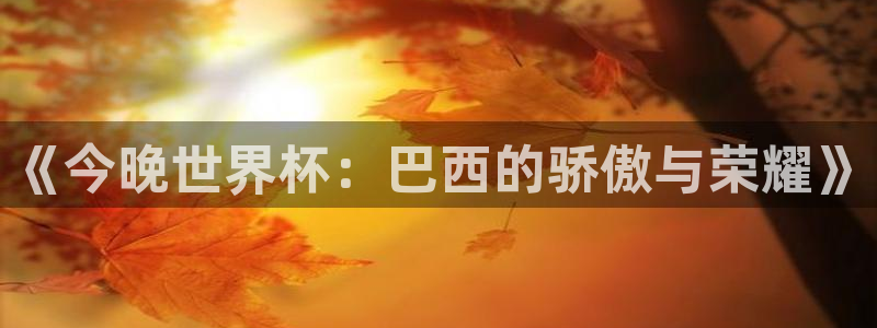 世界杯视频：《今晚世界杯：巴西的骄傲与荣耀》