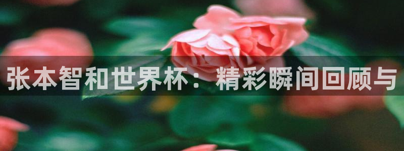 2006年世界杯：张本智和世界杯：精彩瞬间回顾与