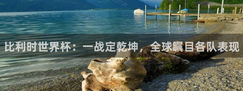 美国世界杯：比利时世界杯：一战定乾坤，全球瞩目各队表现