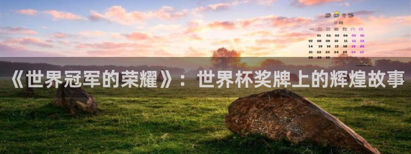 足球杯：《世界冠军的荣耀》：世界杯奖牌上的辉煌故事
