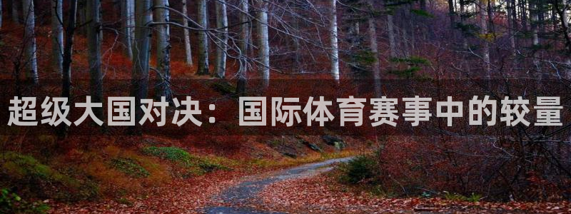 世界杯足球赛2026：超级大国对决：国际体育赛事中的较量