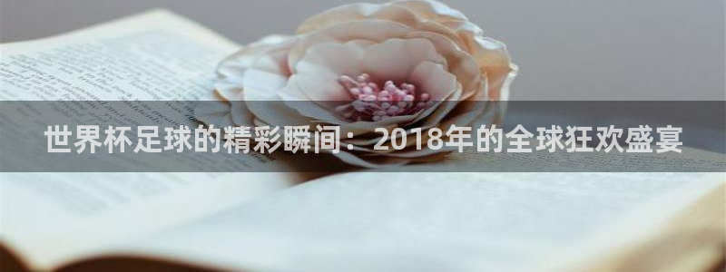 看世界杯：世界杯足球的精彩瞬间：2018年的全球狂欢盛宴